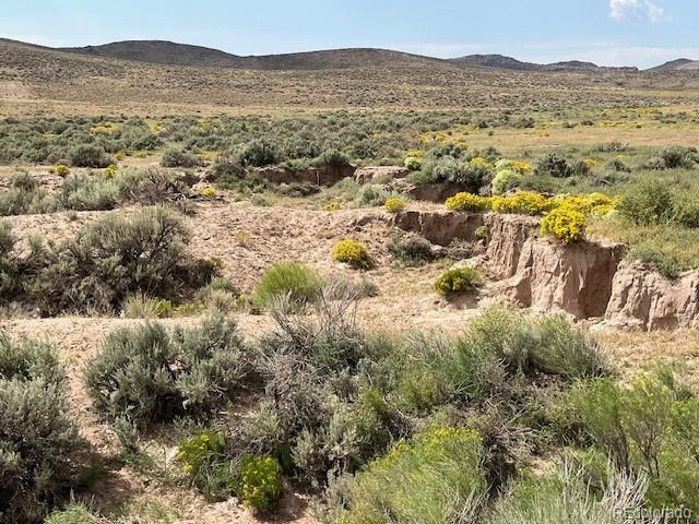 Tbd Brent Avenue San Luis CO 81152