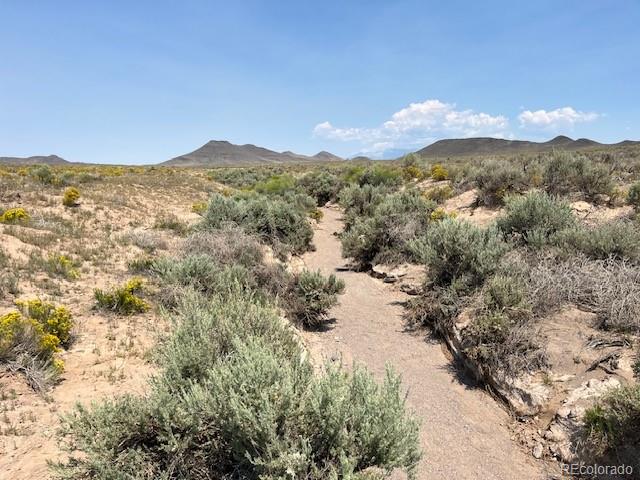 Tbd Brent Avenue San Luis CO 81152