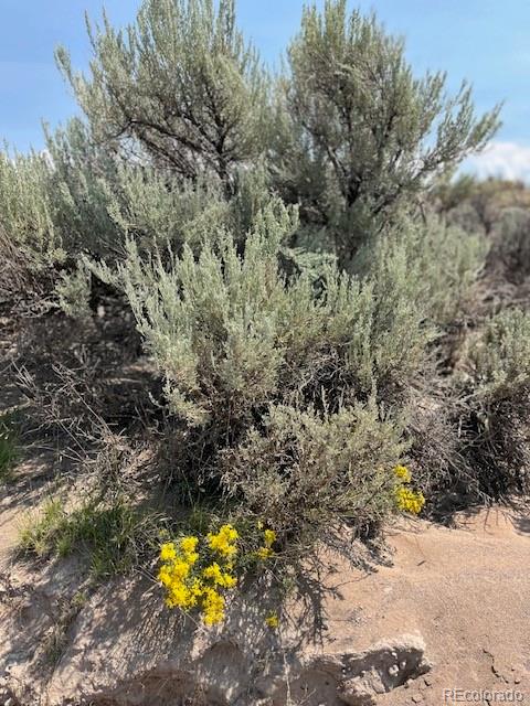 Tbd Brent Avenue San Luis CO 81152