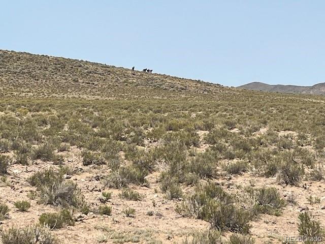 Tbd Brent Avenue San Luis CO 81152