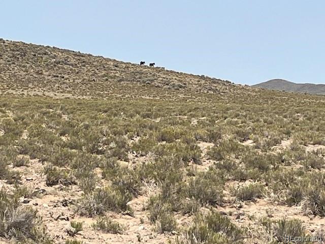 Tbd Brent Avenue San Luis CO 81152
