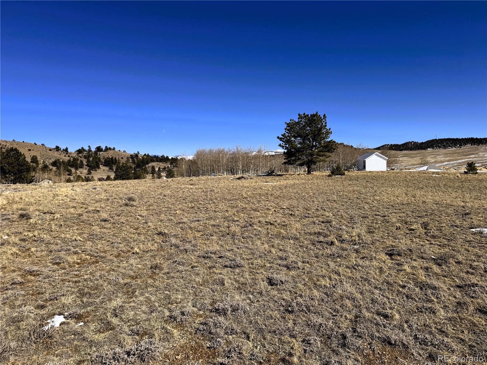 225 Wagon Wheel Road Hartsel CO 80449