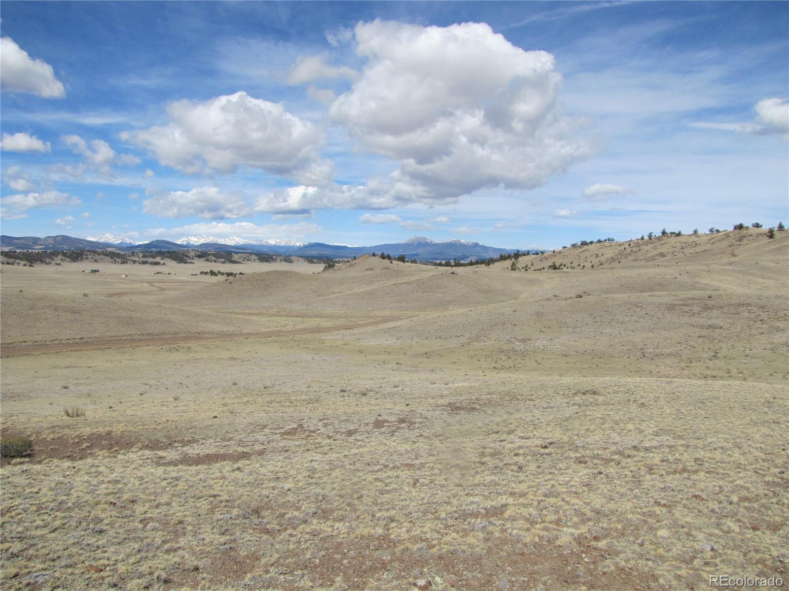 323 Idaho Trail Hartsel CO 80449
