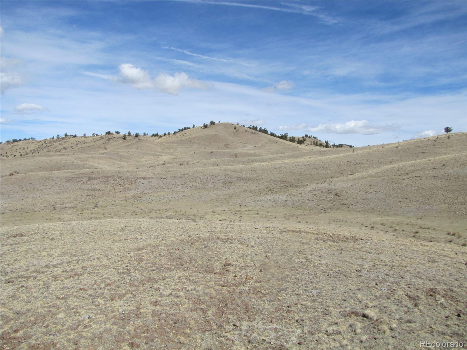 323 Idaho Trail Hartsel CO 80449