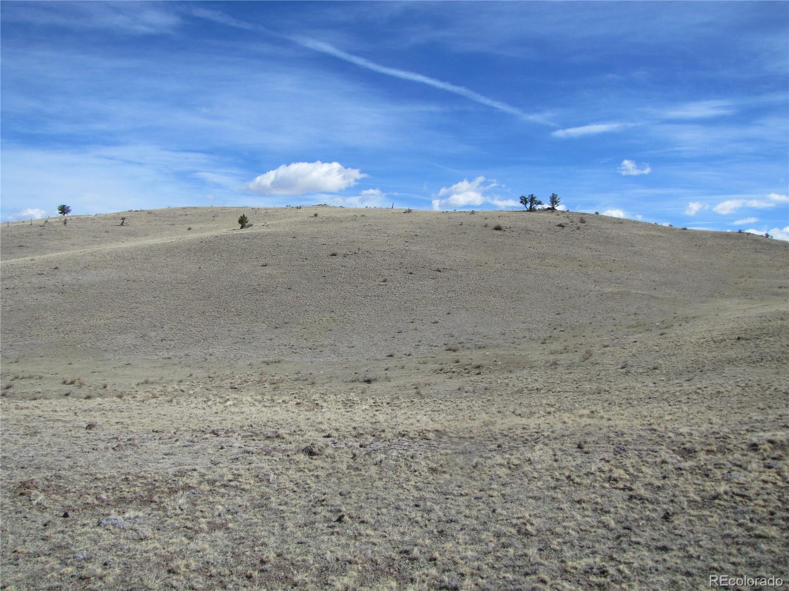 323 Idaho Trail Hartsel CO 80449