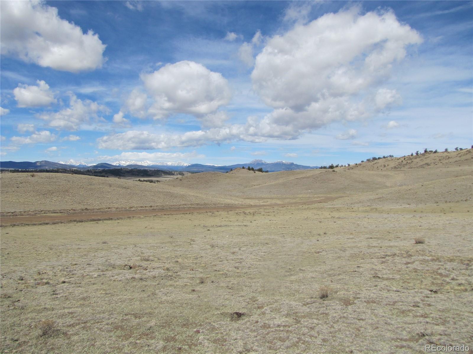 323 Idaho Trail Hartsel CO 80449