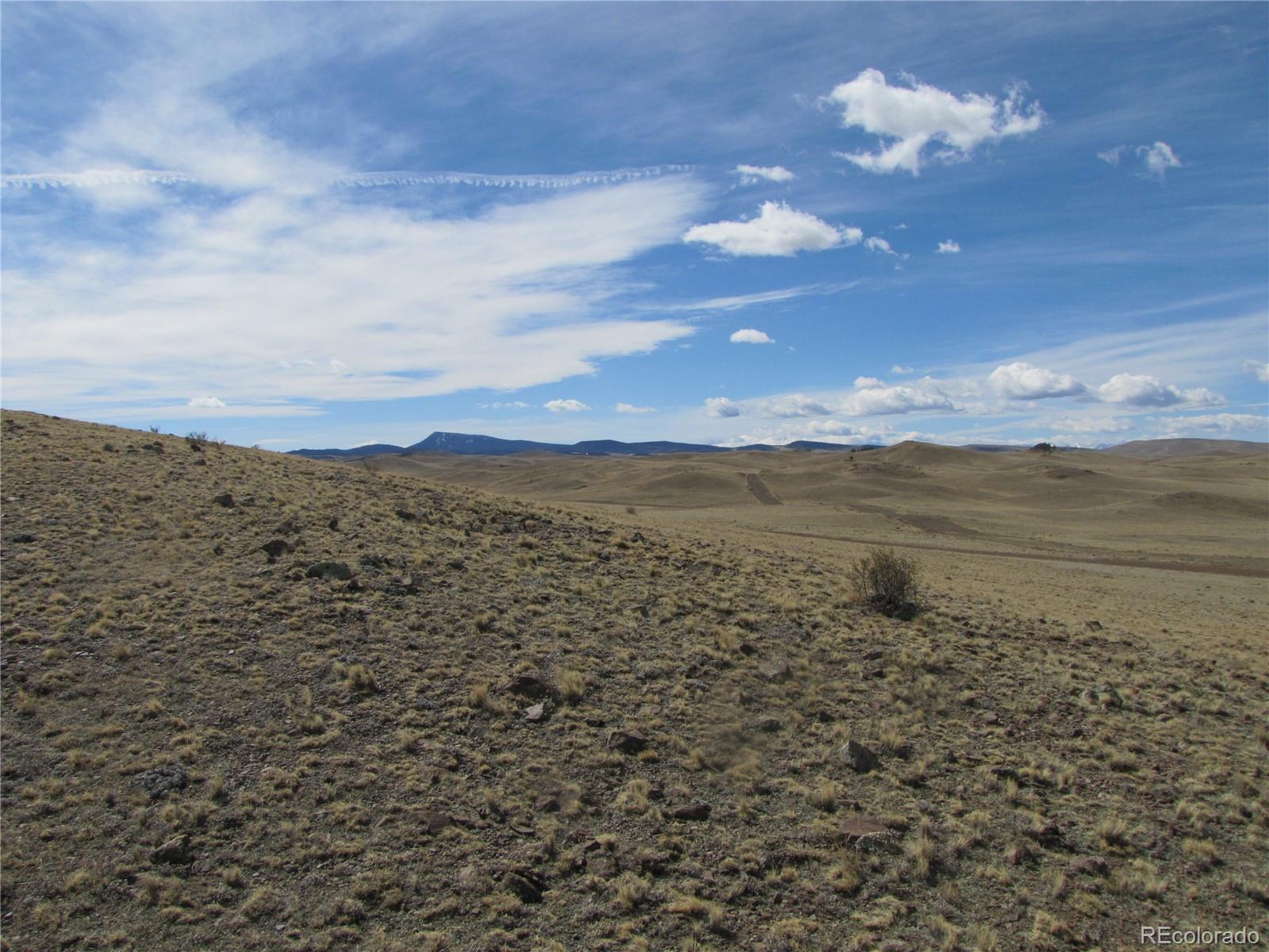 323 Idaho Trail Hartsel CO 80449