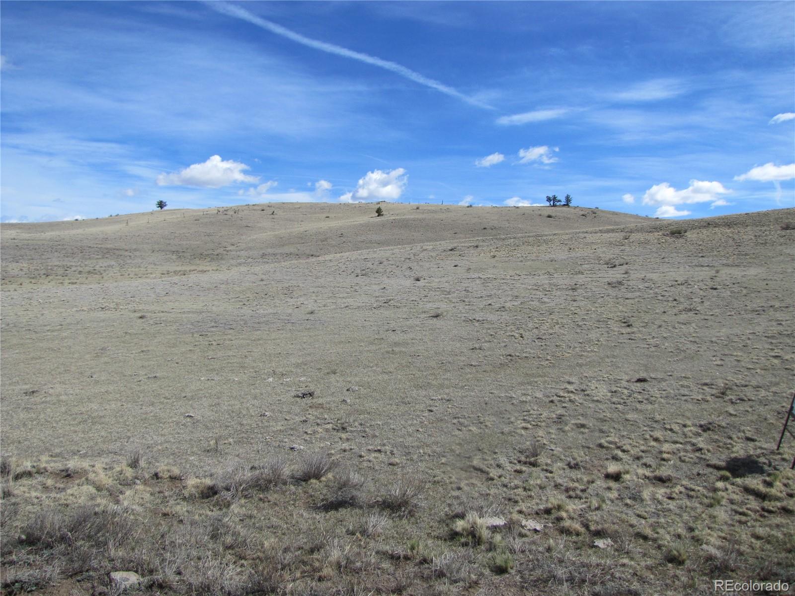 323 Idaho Trail Hartsel CO 80449