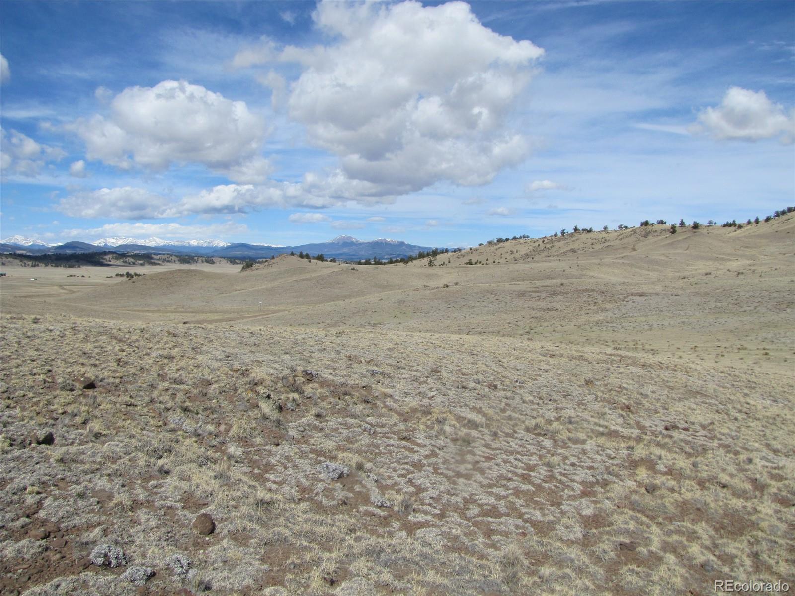 323 Idaho Trail Hartsel CO 80449