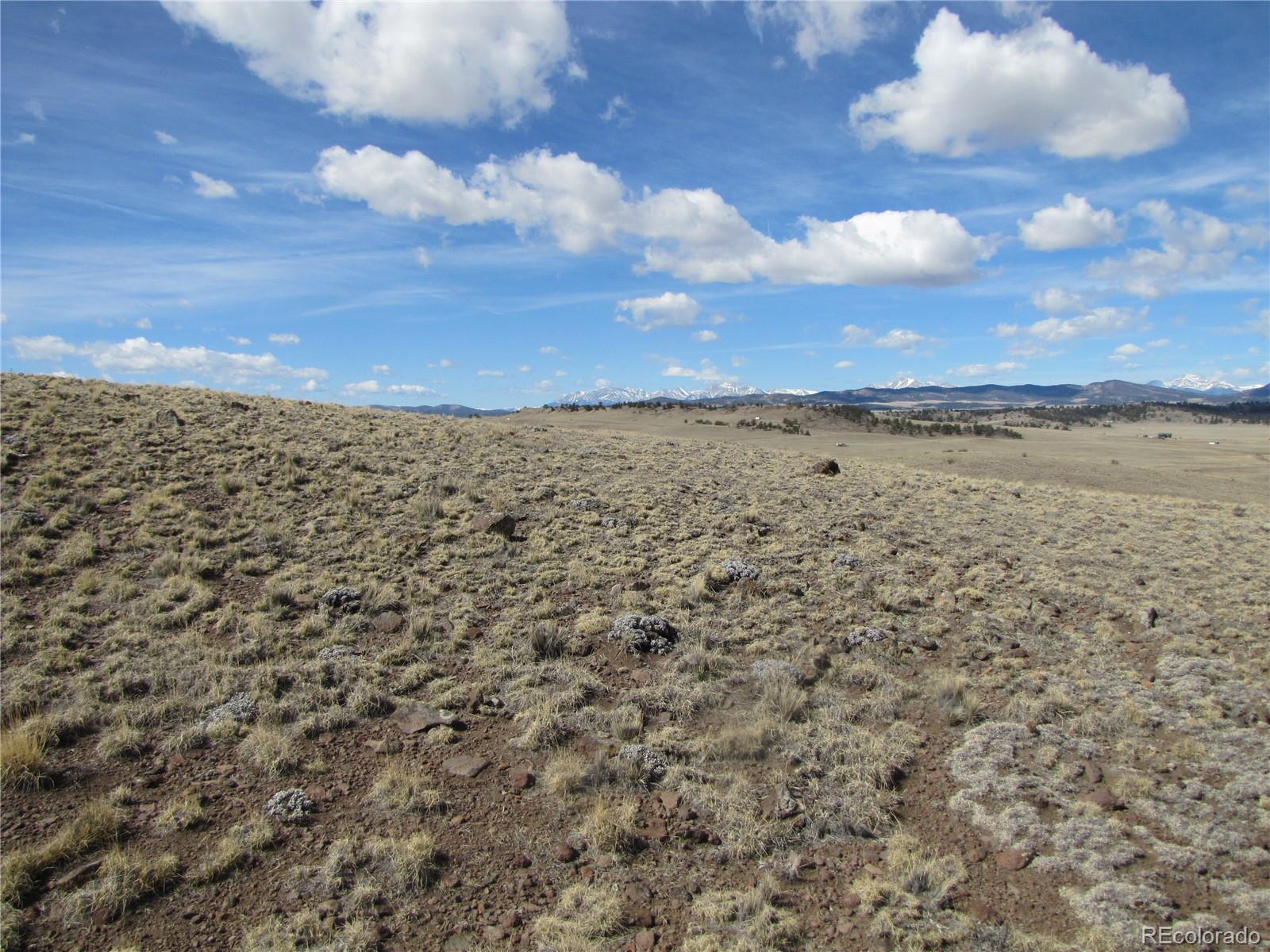 323 Idaho Trail Hartsel CO 80449