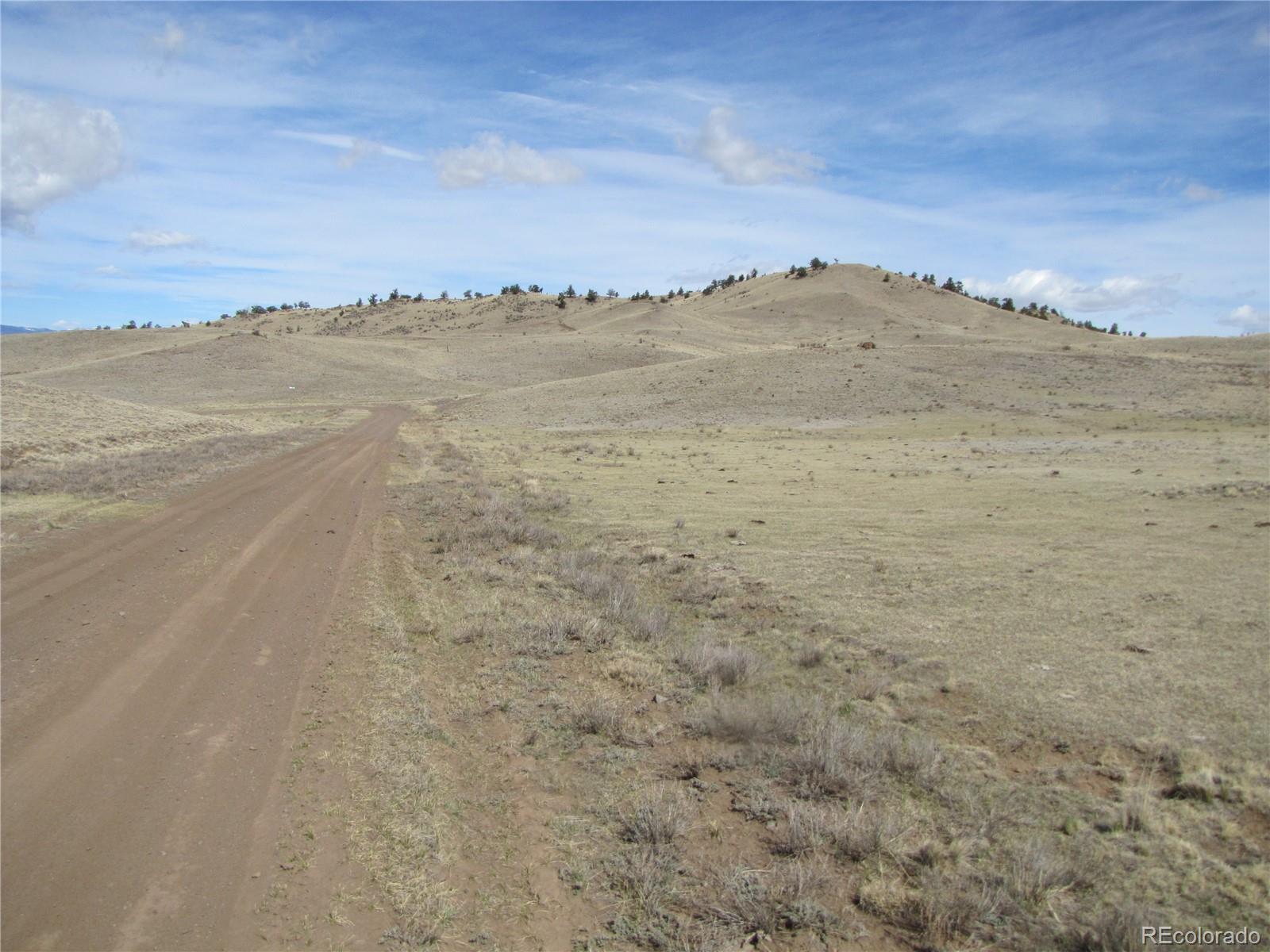 323 Idaho Trail Hartsel CO 80449