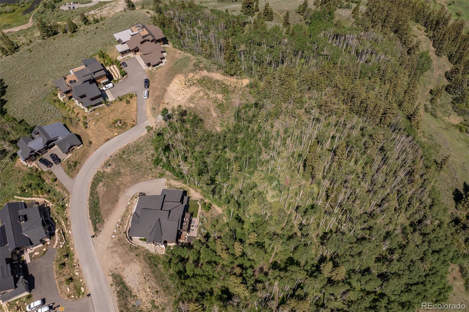 84 Mayfly Drive Silverthorne CO 80498