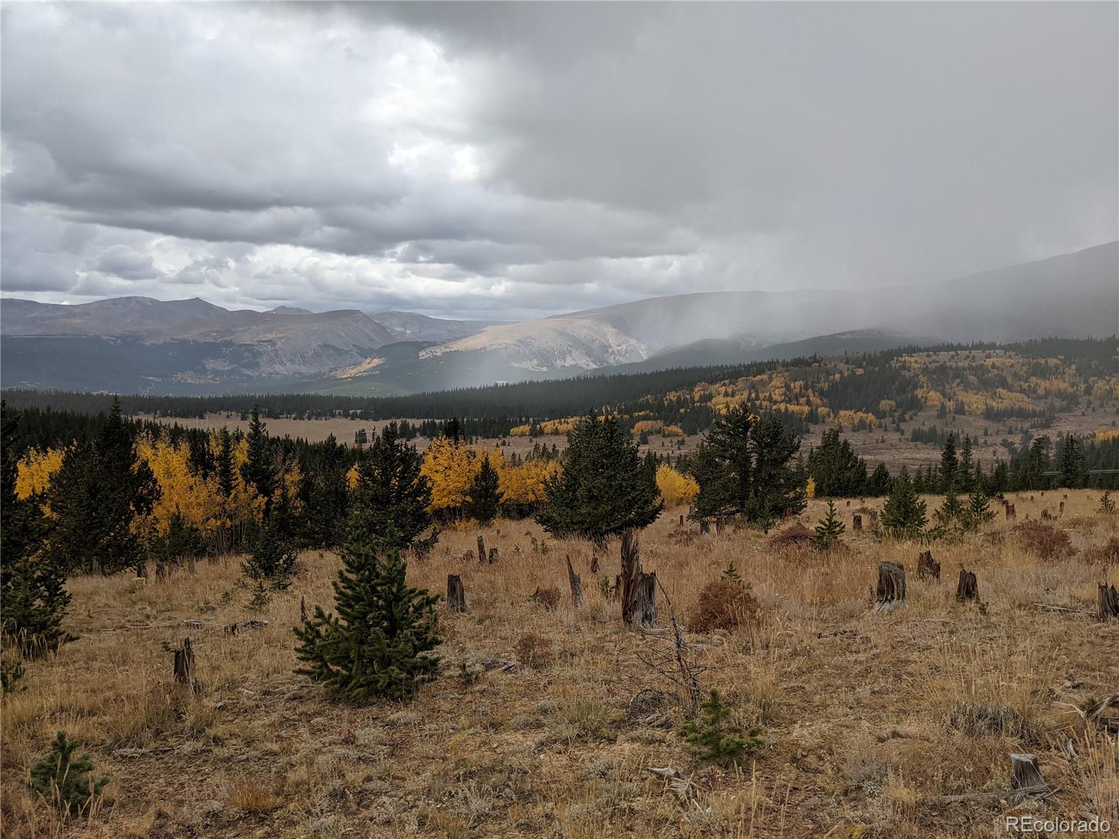 0 Snow Cap Peaks Road Alma CO 80402