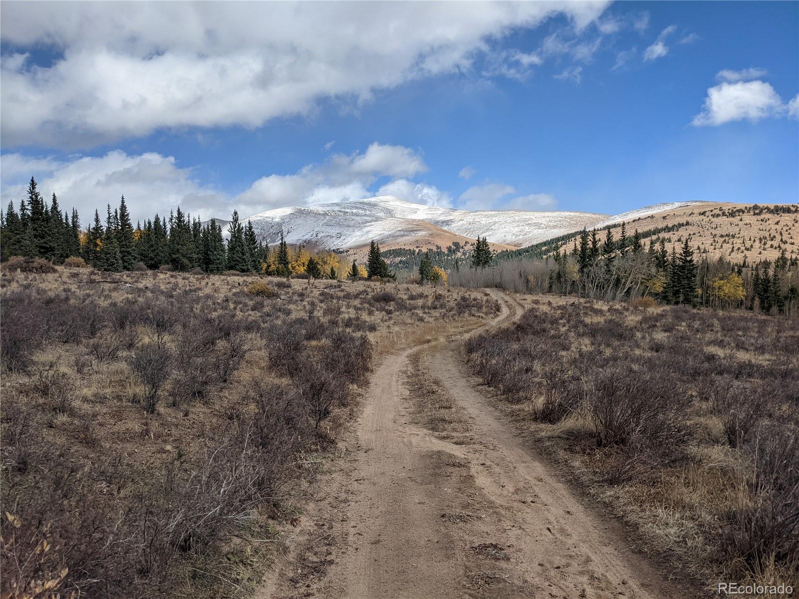0 Snow Cap Peaks Road Alma CO 80402