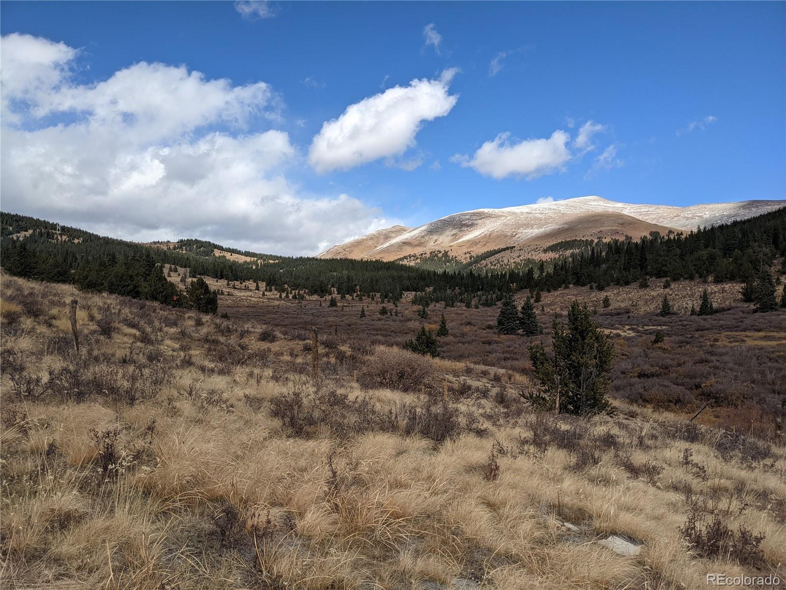 0 Snow Cap Peaks Road Alma CO 80402