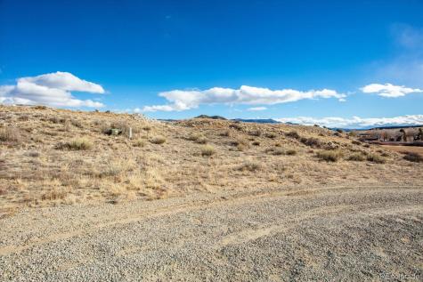 24233 Castaway Court Buena Vista CO 81211