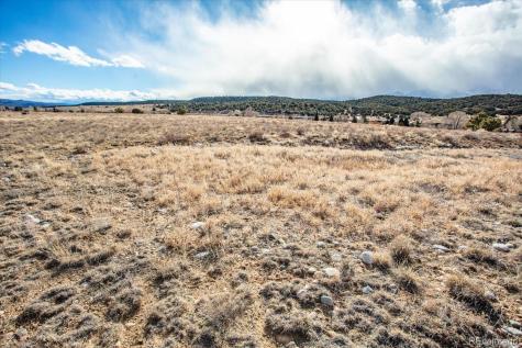 24233 Castaway Court Buena Vista CO 81211