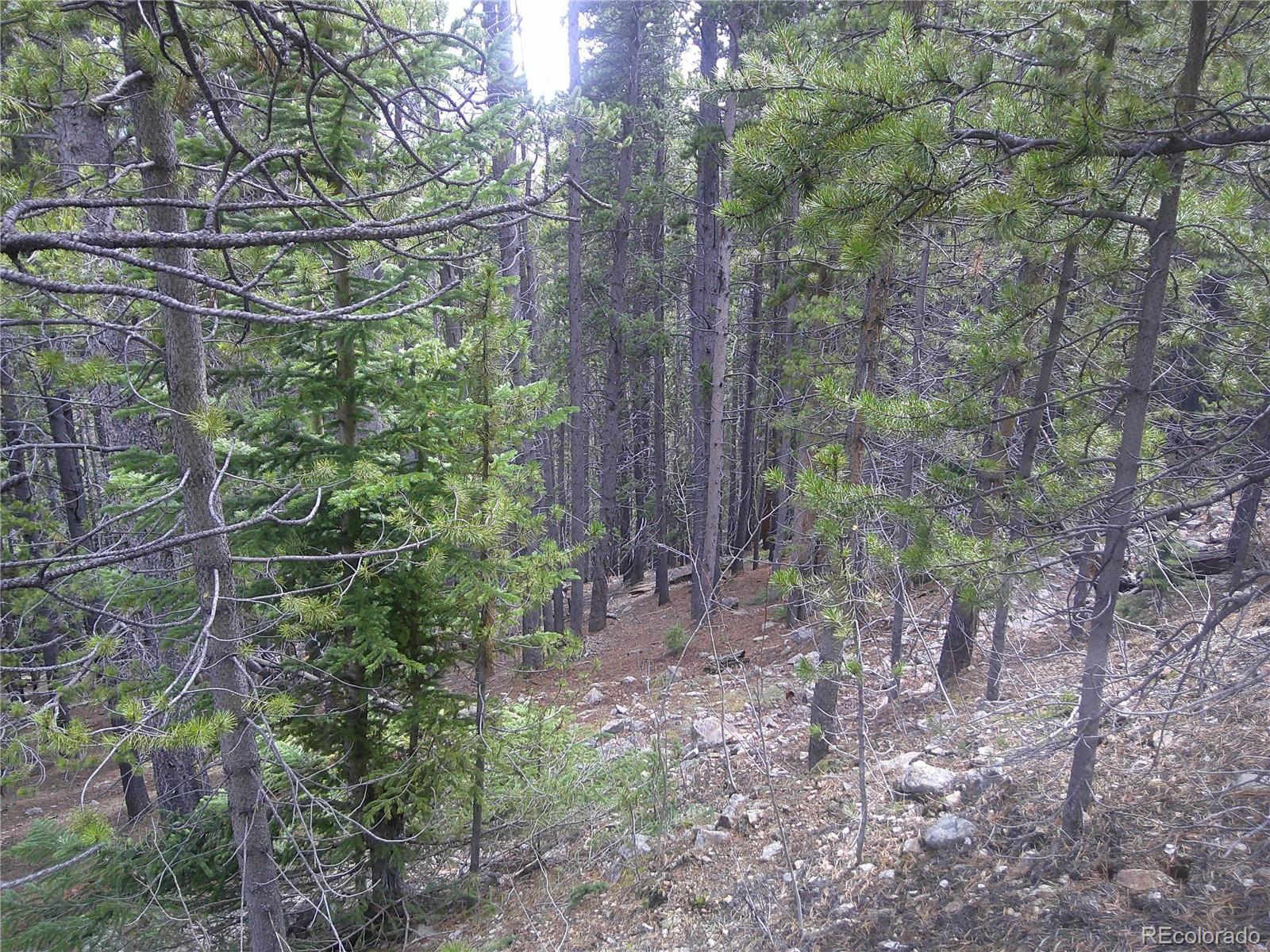 Lot #440 Hillside Road Idaho Springs CO 80452