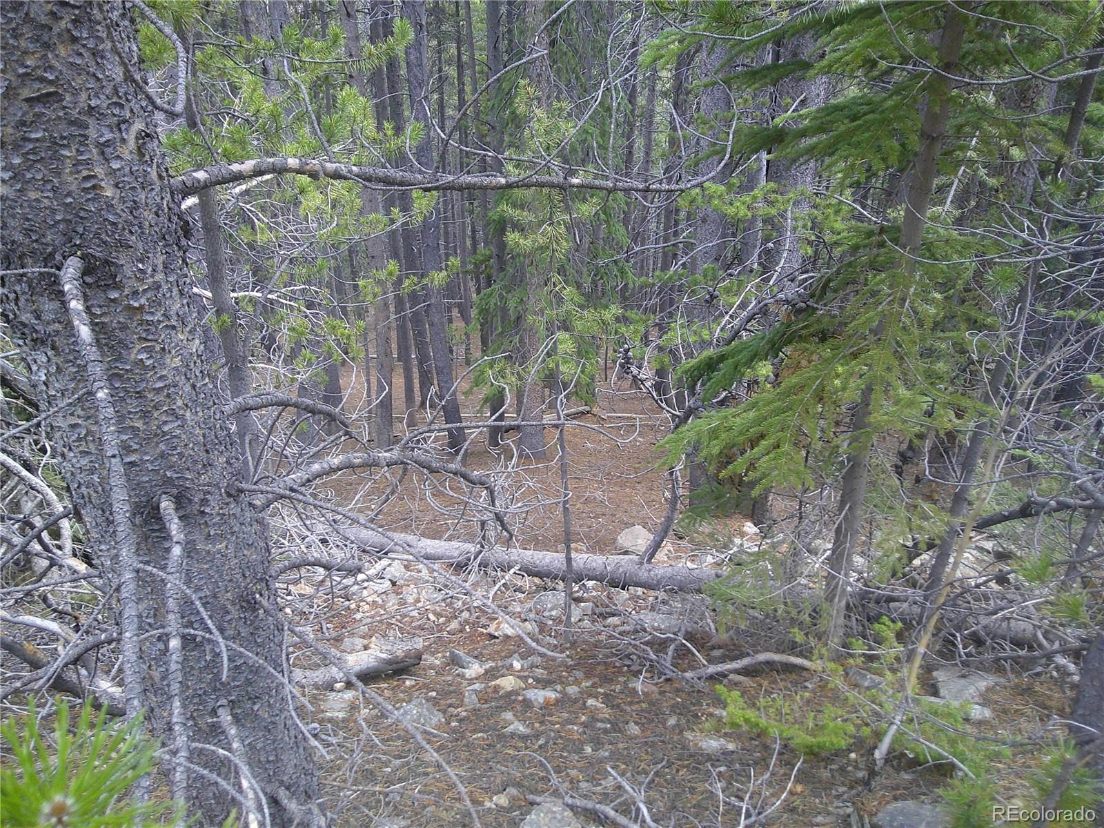 Lot #440 Hillside Road Idaho Springs CO 80452