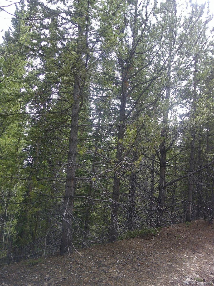 Lot #440 Hillside Road Idaho Springs CO 80452
