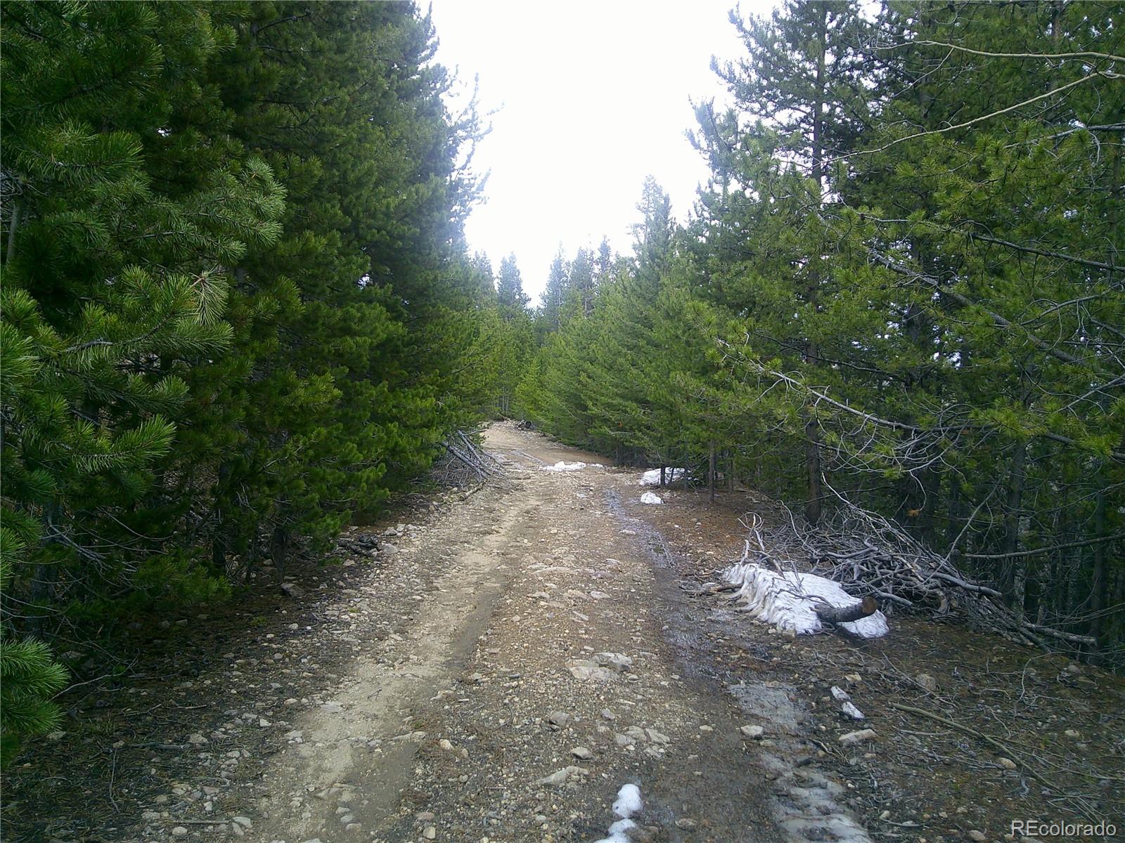 Lot #440 Hillside Road Idaho Springs CO 80452