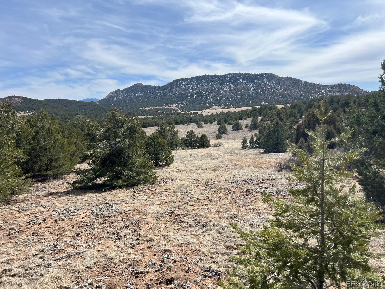 480 Wild Bill Boulevard Westcliffe CO 81252