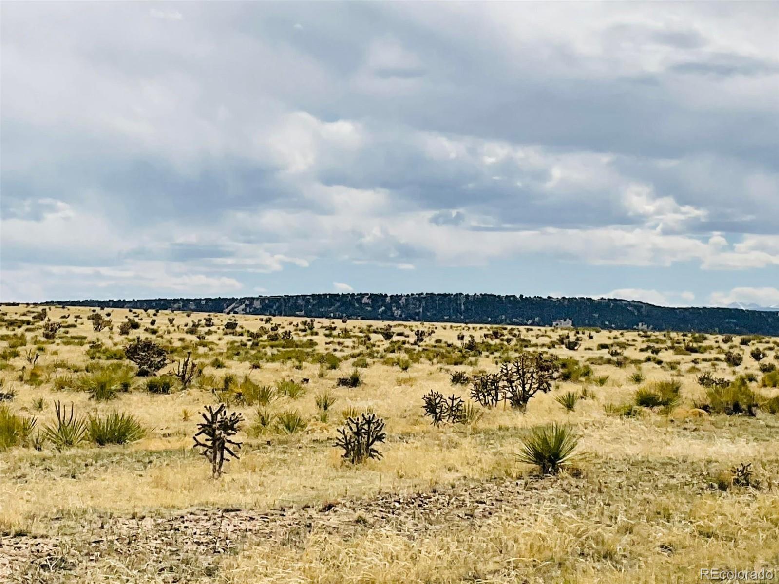 Lot 239 Turkey Ridge Ranch Walsenburg CO 81089