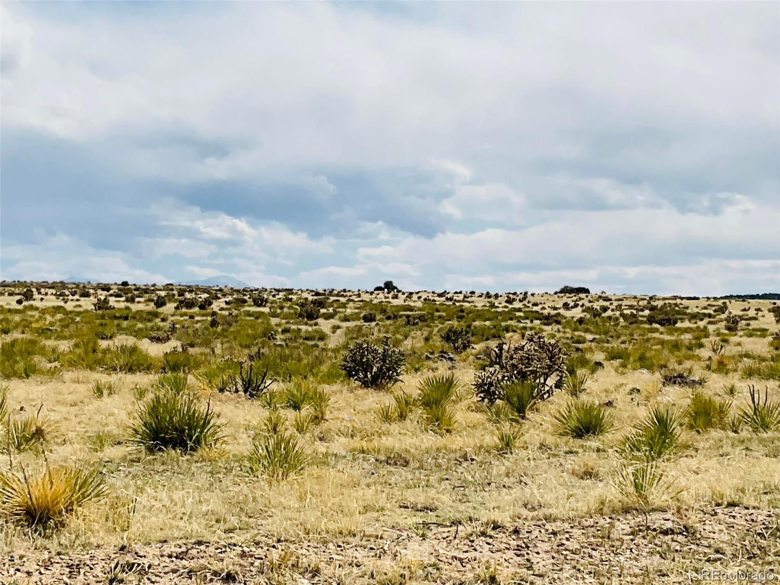 Lot 239 Turkey Ridge Ranch Walsenburg CO 81089