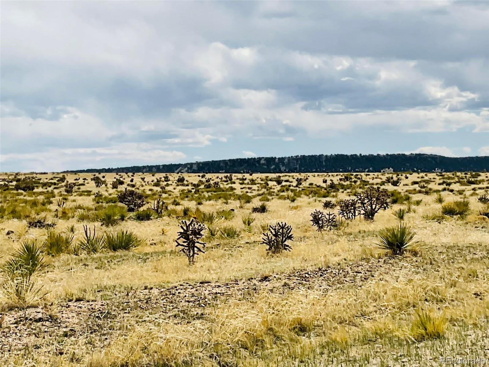 Lot 239 Turkey Ridge Ranch Walsenburg CO 81089
