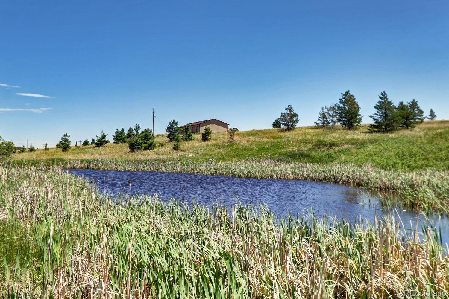 11200 S State Highway 83 Franktown CO 80116