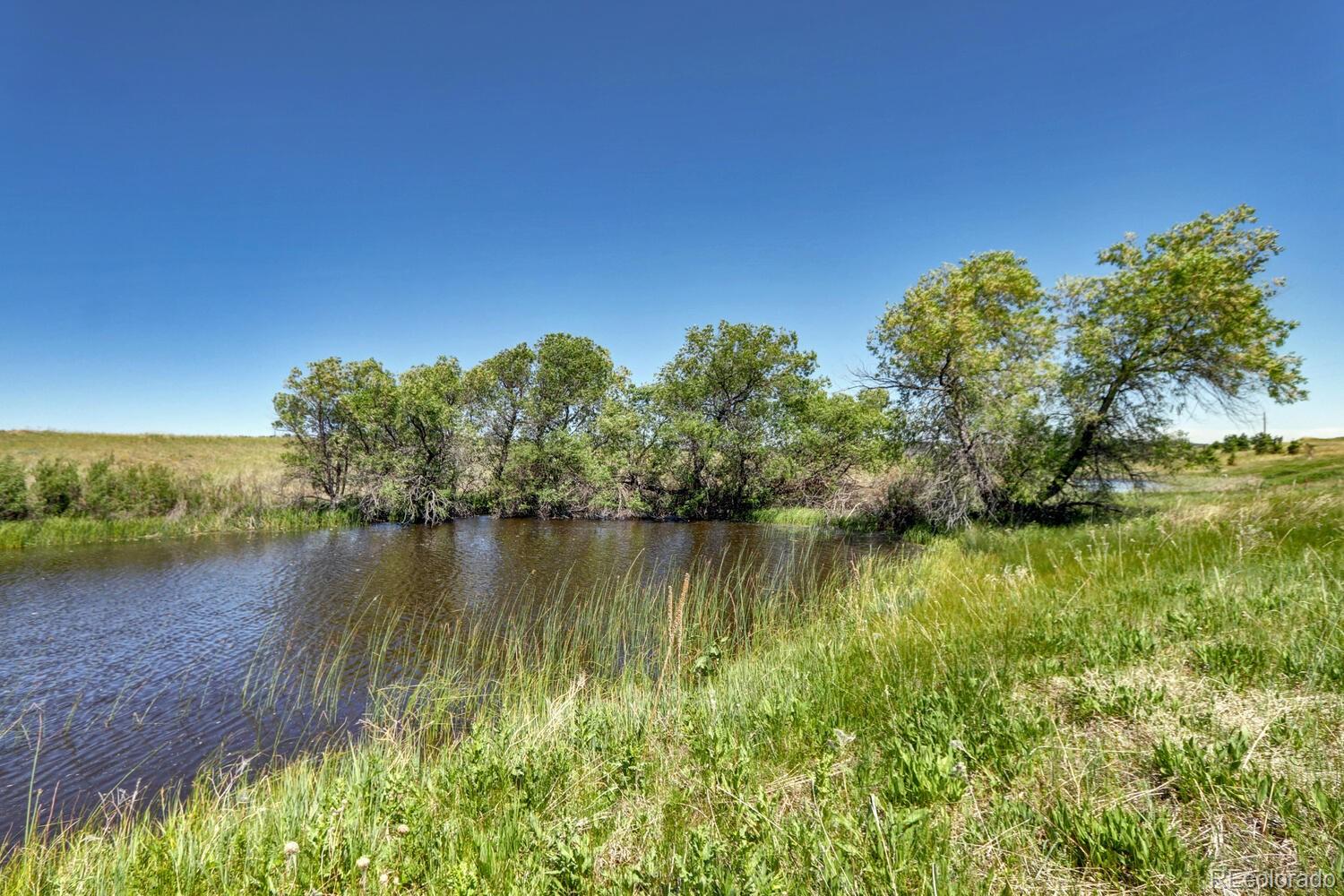 11200 S State Highway 83 Franktown CO 80116
