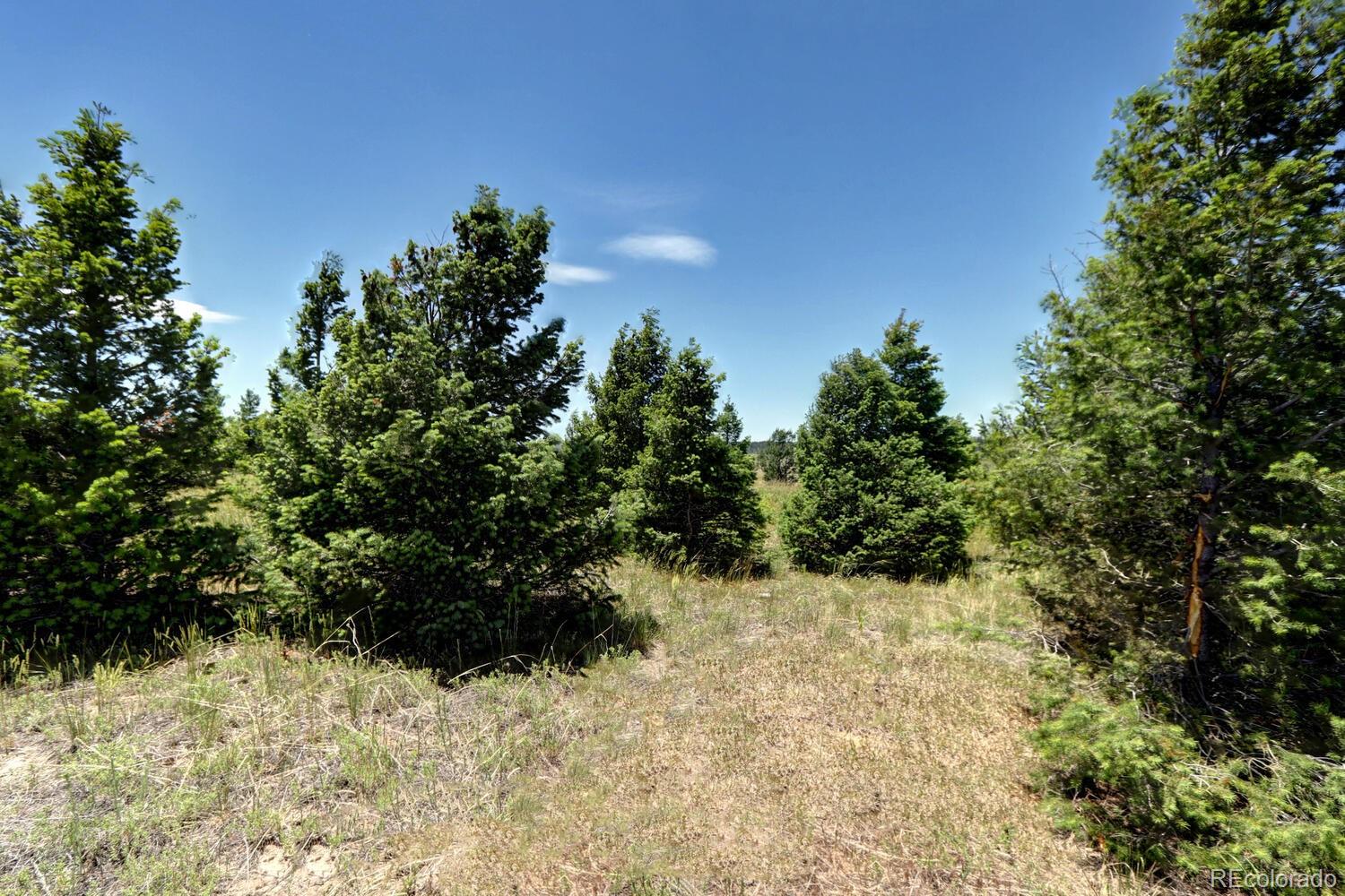 11200 S State Highway 83 Franktown CO 80116