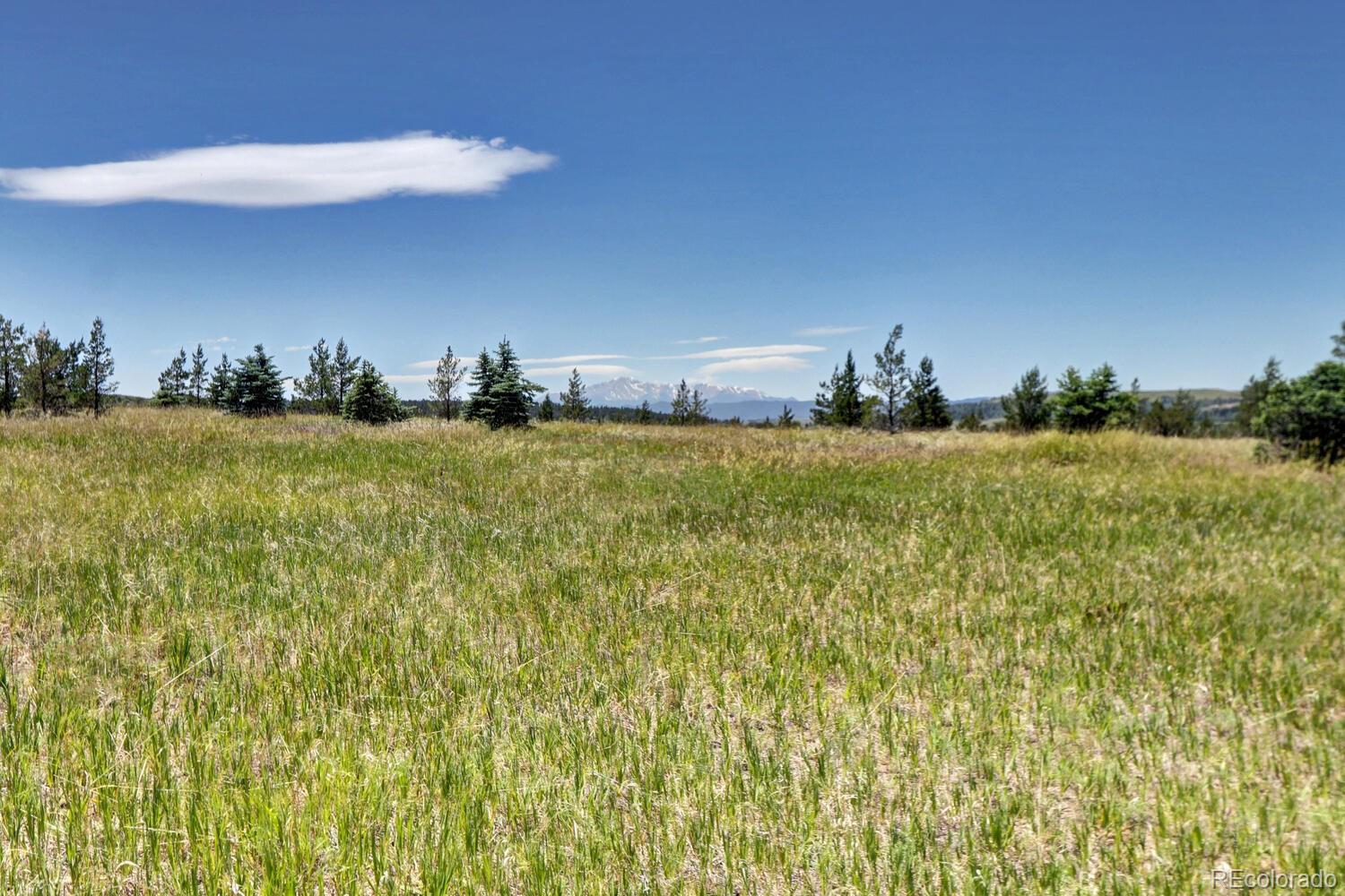 11200 S State Highway 83 Franktown CO 80116