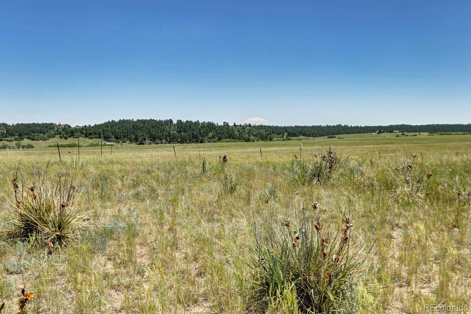 11200 S State Highway 83 Franktown CO 80116