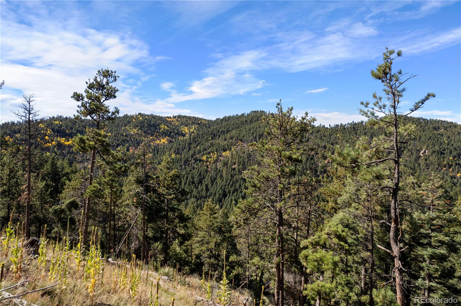 13126 Andiron Way Larkspur CO 80118