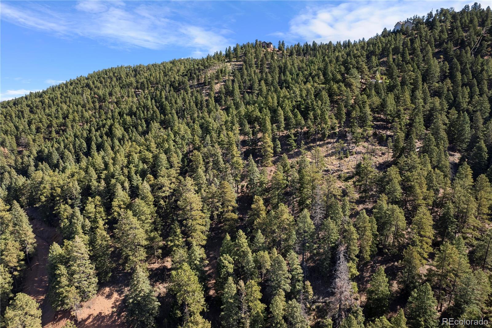 13126 Andiron Way Larkspur CO 80118
