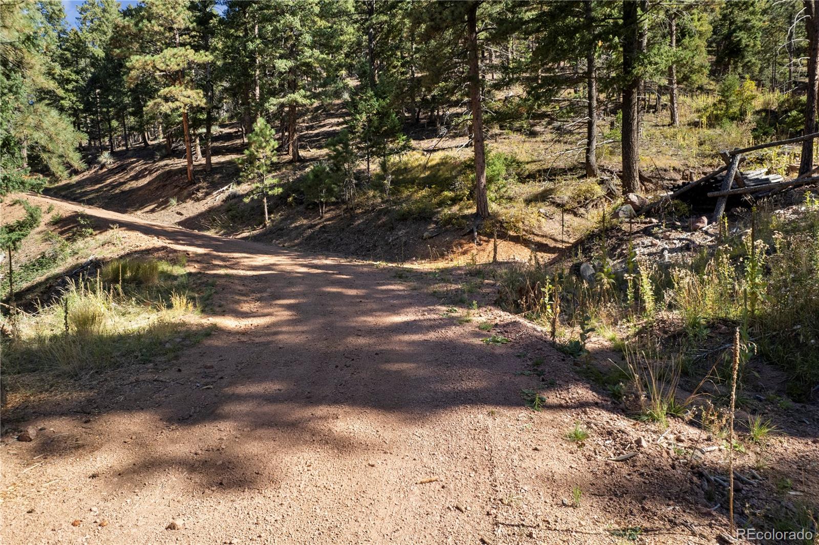 13126 Andiron Way Larkspur CO 80118