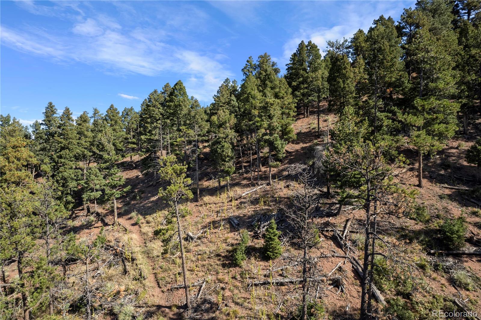 13126 Andiron Way Larkspur CO 80118