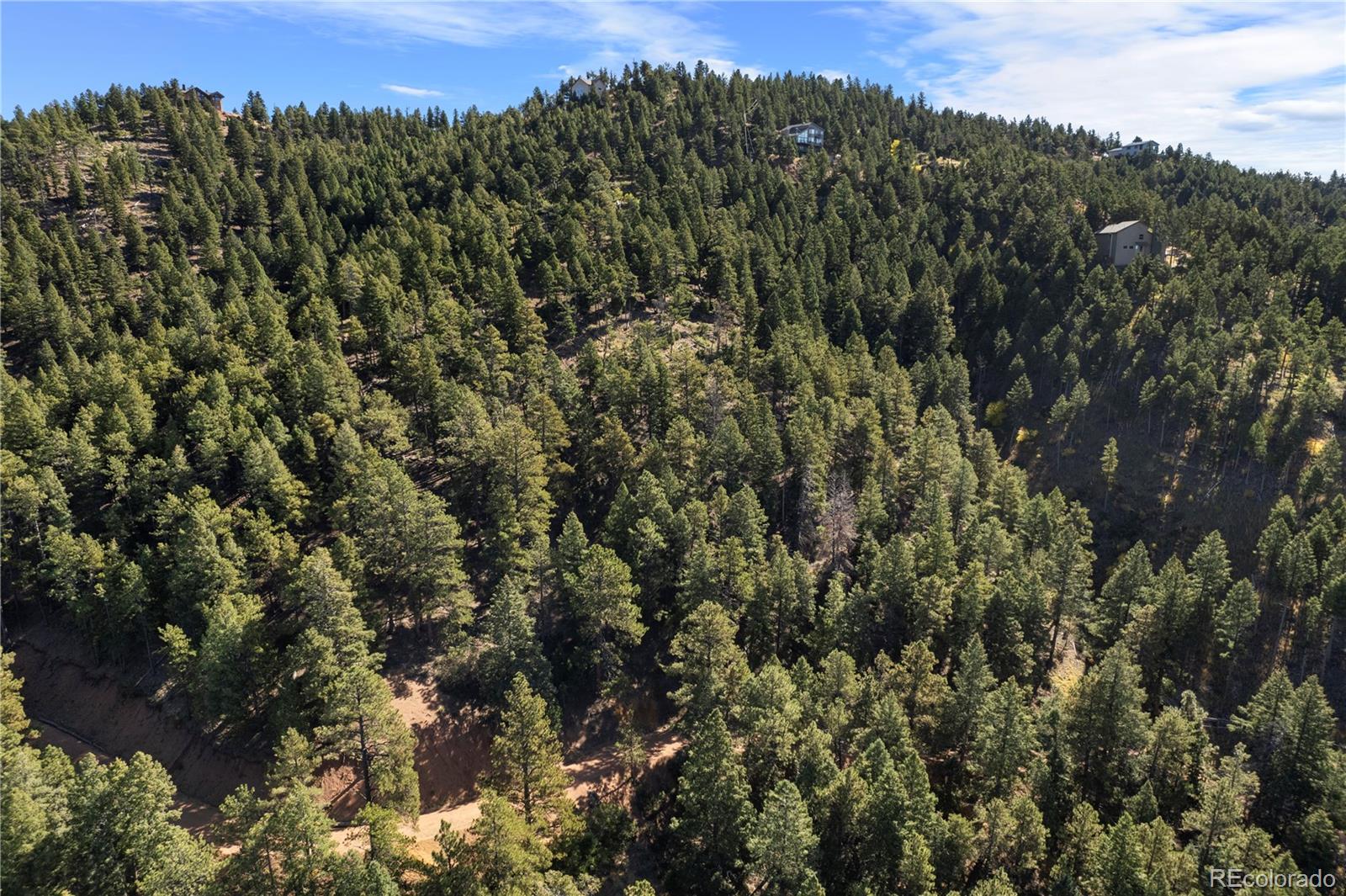 13126 Andiron Way Larkspur CO 80118