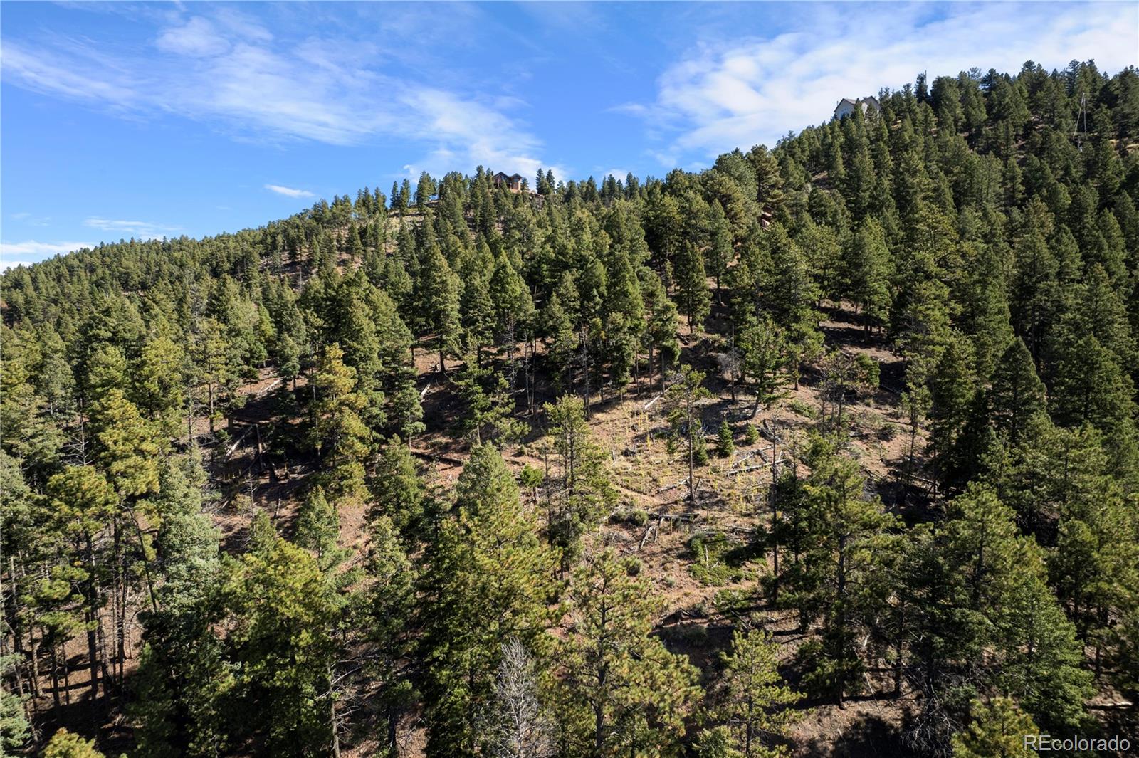 13126 Andiron Way Larkspur CO 80118