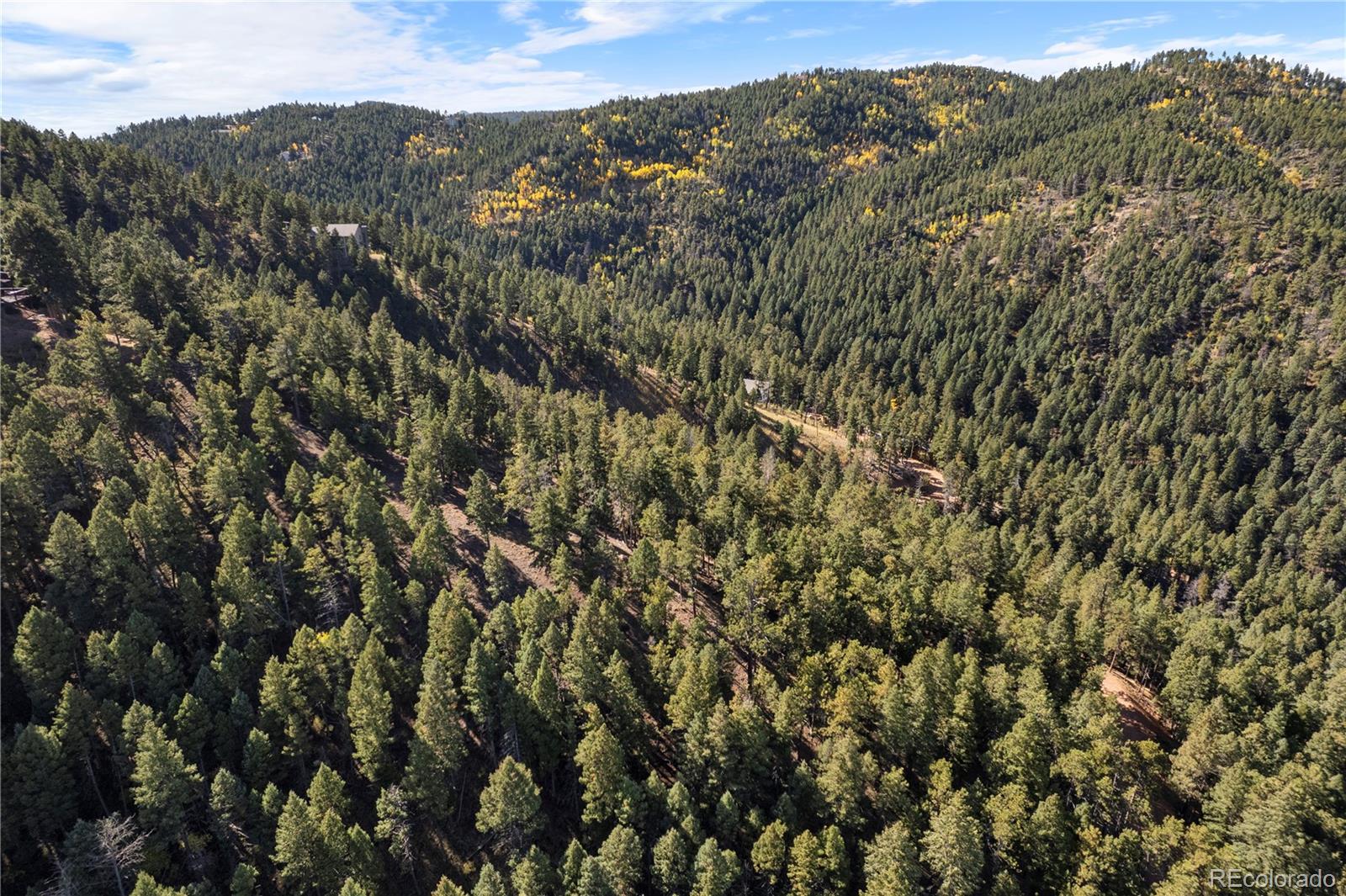 13126 Andiron Way Larkspur CO 80118