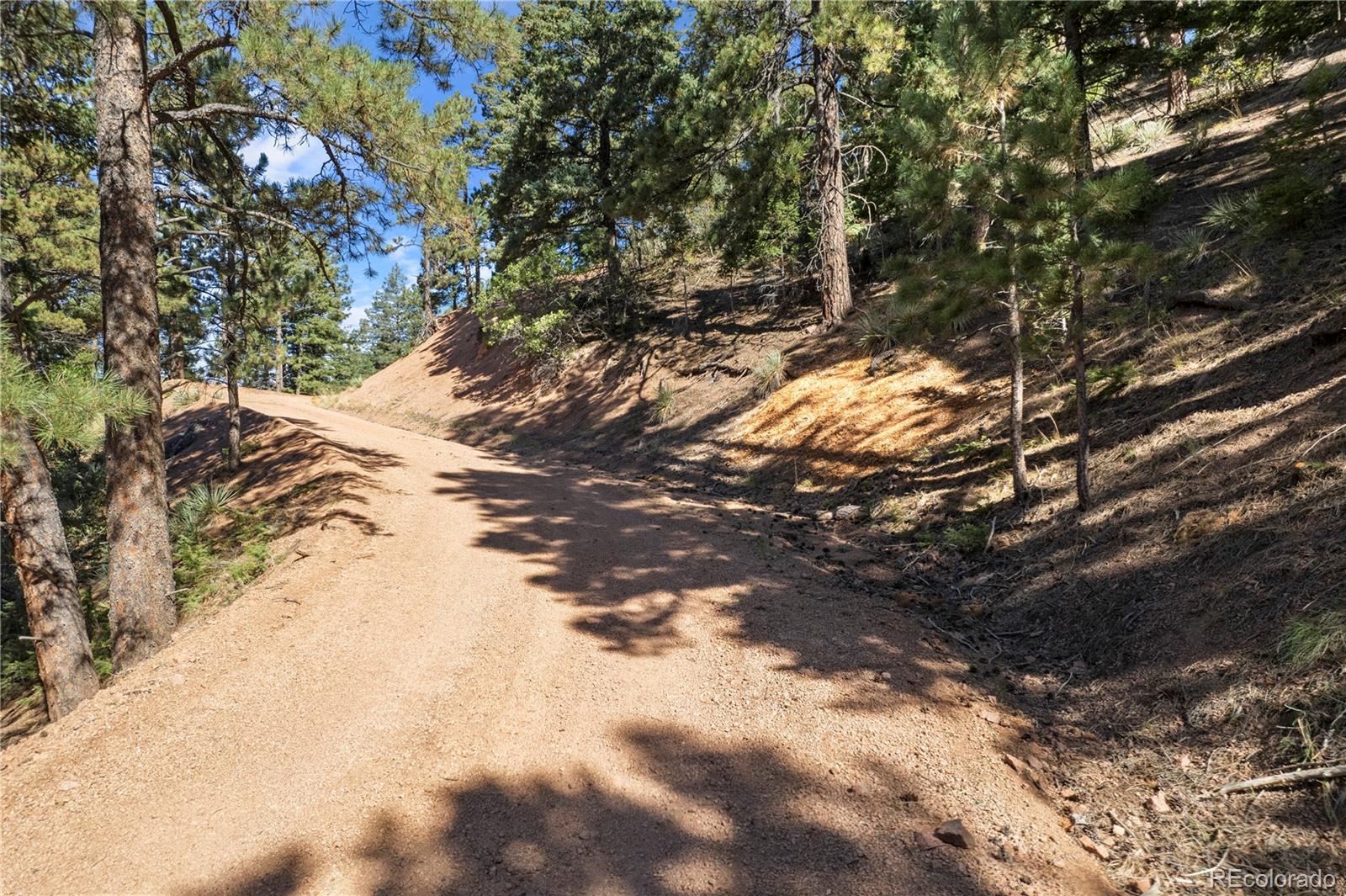 13126 Andiron Way Larkspur CO 80118