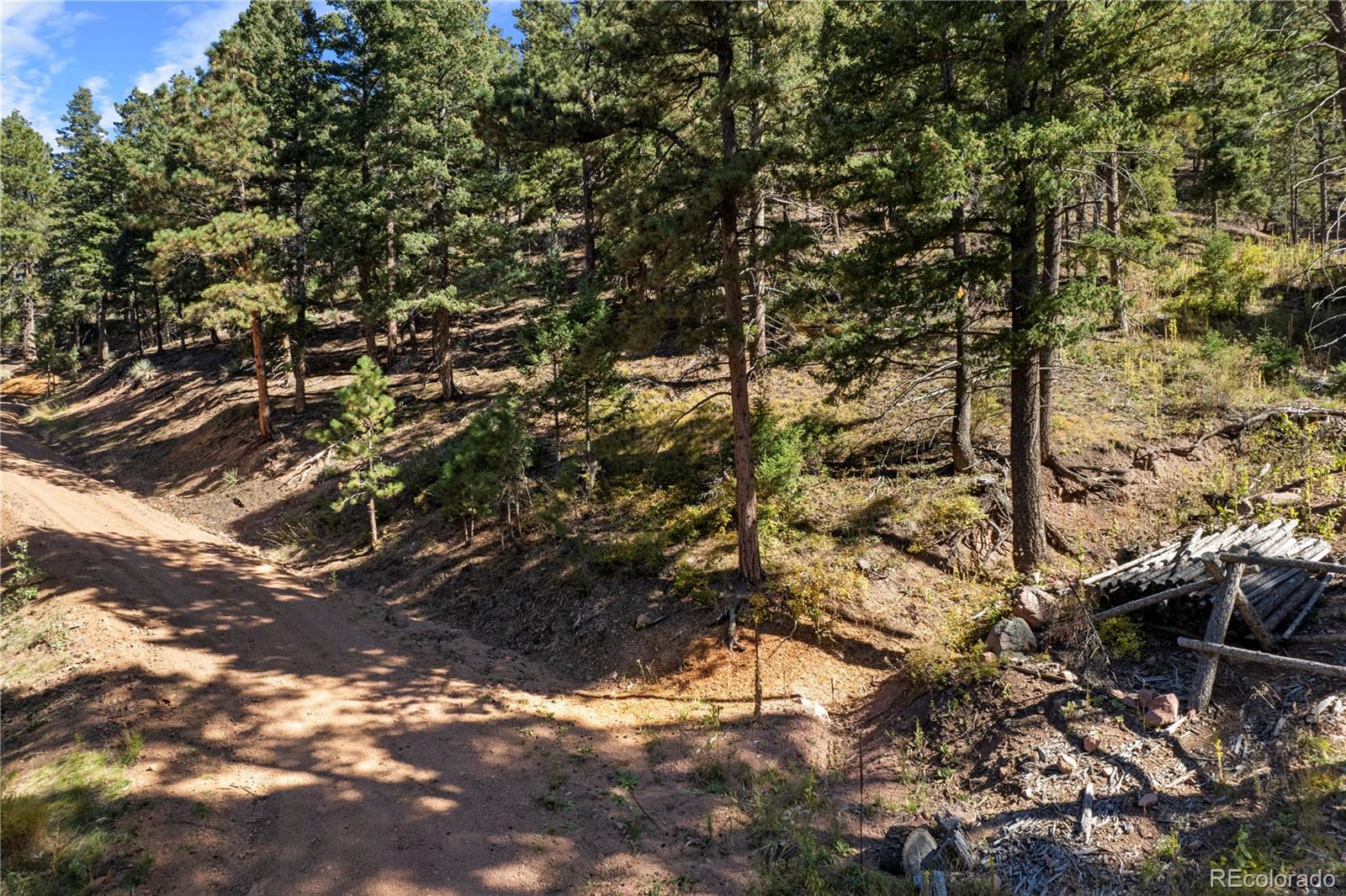 13126 Andiron Way Larkspur CO 80118