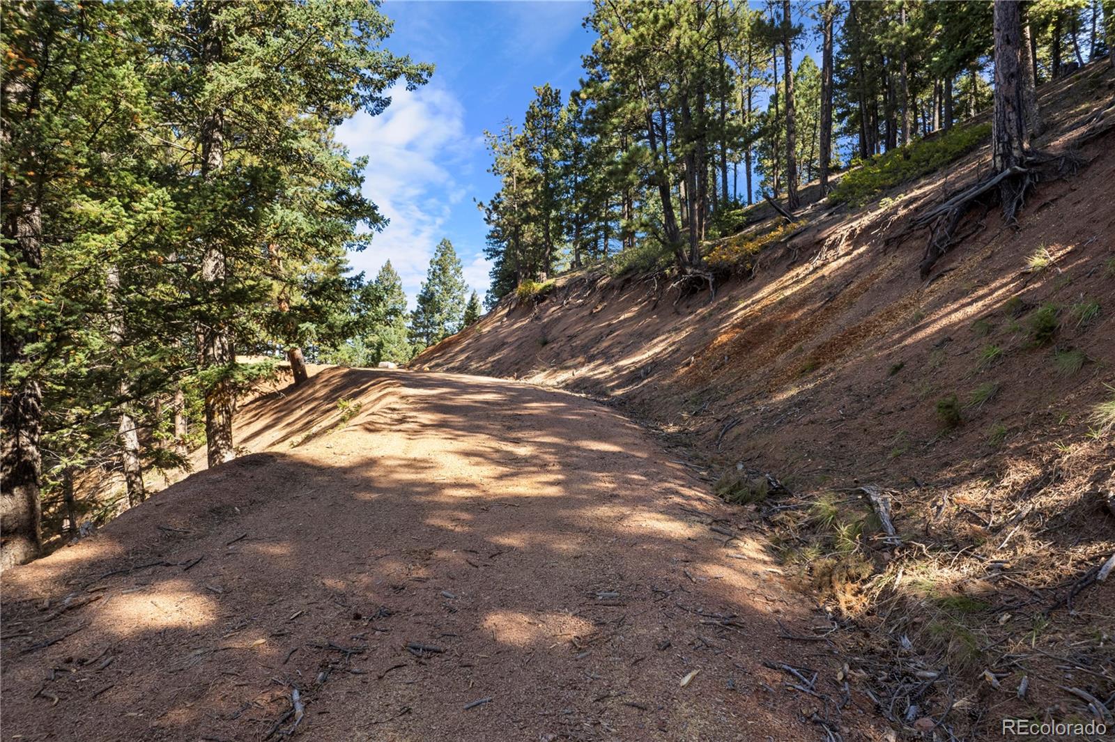 13126 Andiron Way Larkspur CO 80118