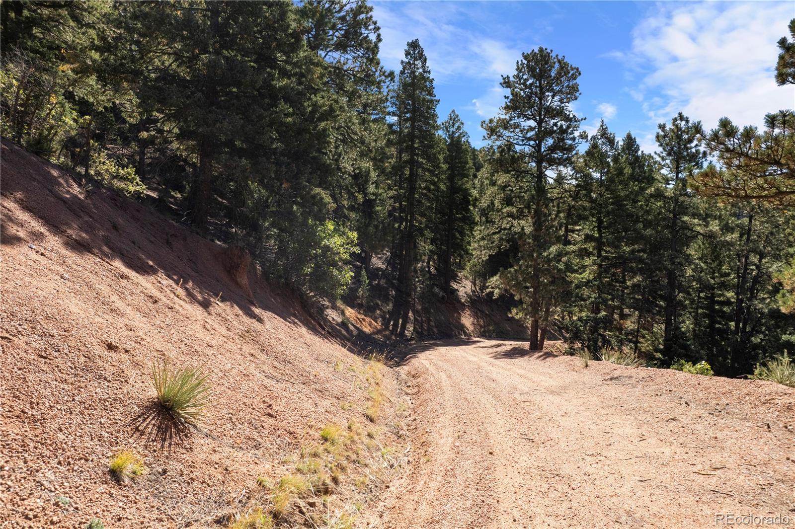 13126 Andiron Way Larkspur CO 80118
