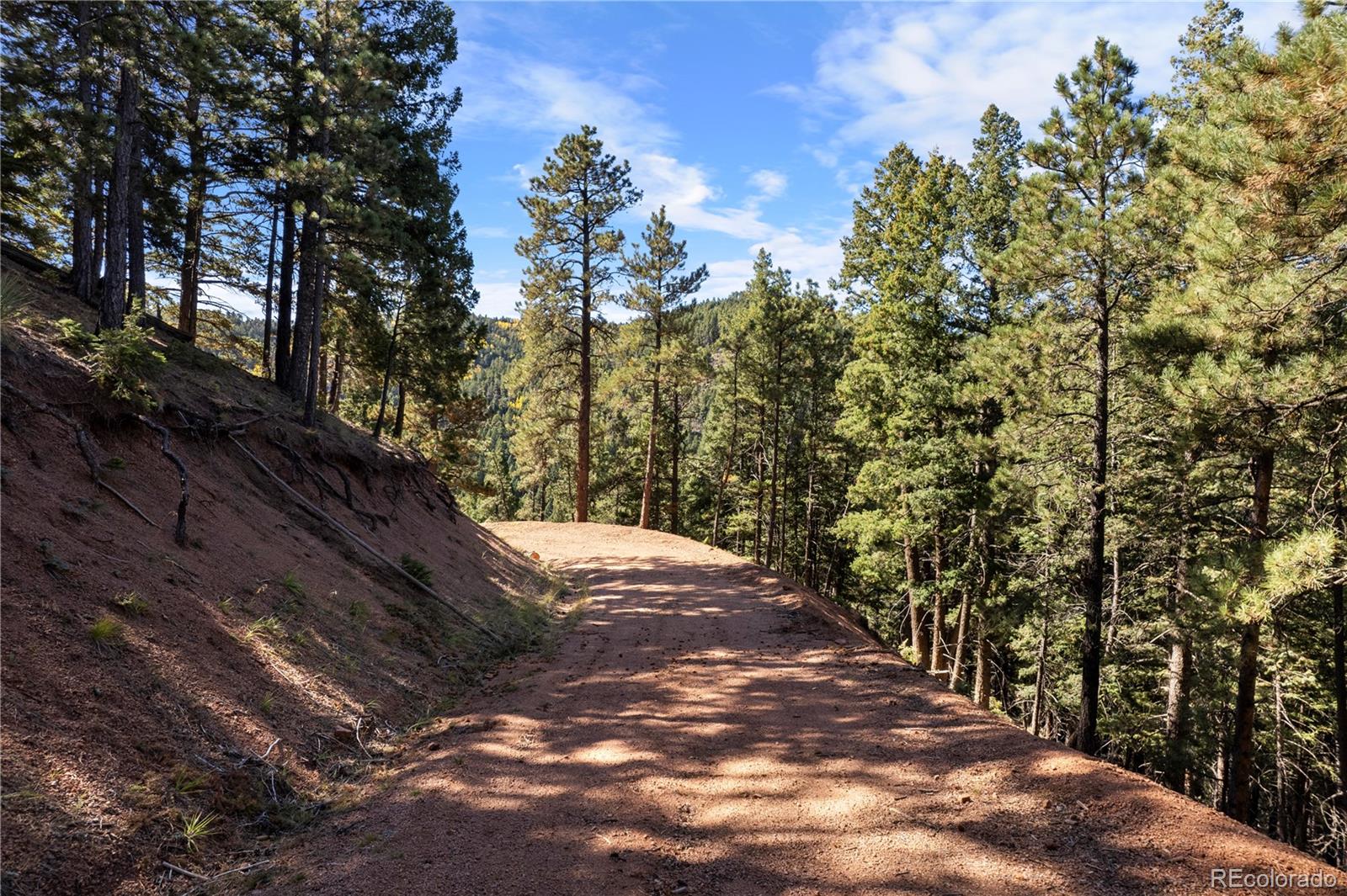 13126 Andiron Way Larkspur CO 80118