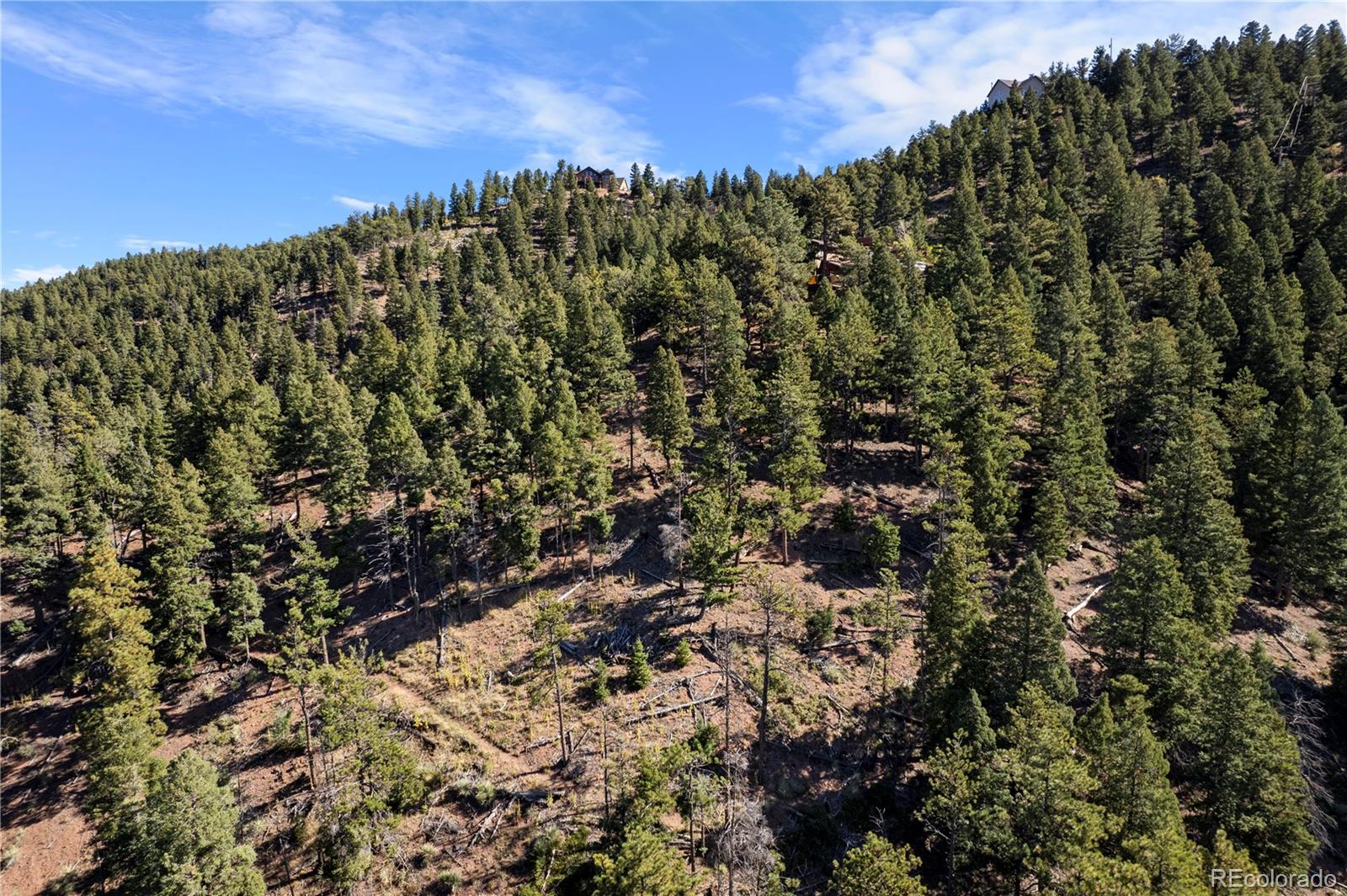 13126 Andiron Way Larkspur CO 80118