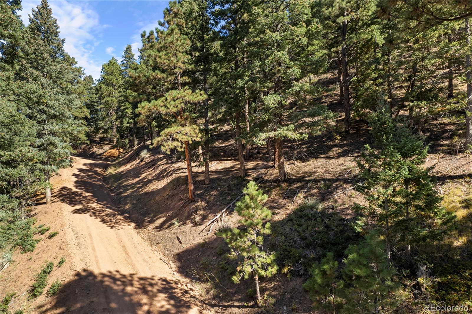 13126 Andiron Way Larkspur CO 80118