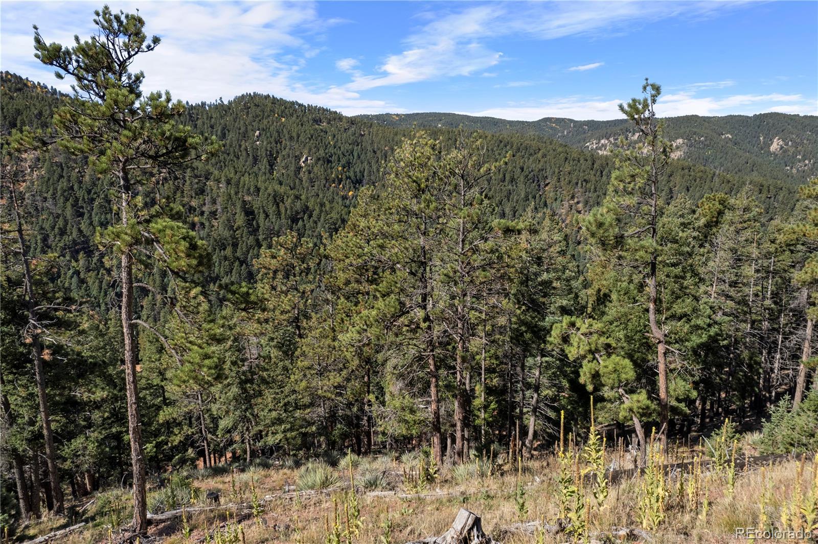 13126 Andiron Way Larkspur CO 80118