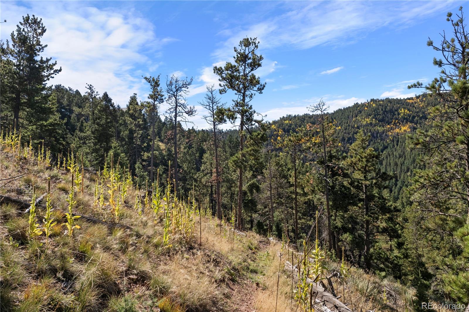 13126 Andiron Way Larkspur CO 80118